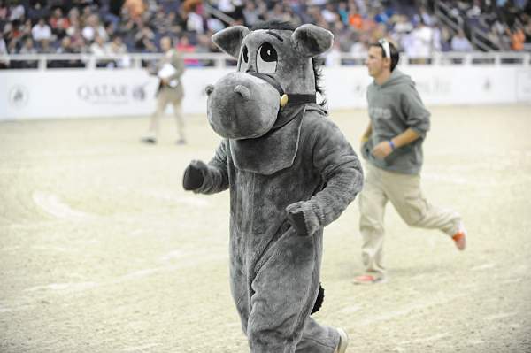WIHS-10-23-09-DER_7235-Mascot-DDeRosaPhoto.jpg