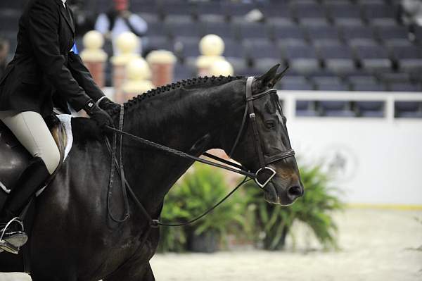 WIHS-10-22-09-DSC_4082-Angelo-KatieDinan-SmJrHtr15U-Misc-DDeRosaPhoto.jpg