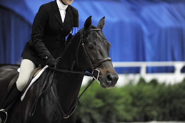 WIHS-10-22-09-DSC_4089-Angelo-KatieDinan-SmJrHtr15U-Misc-DDeRosaPhoto.jpg