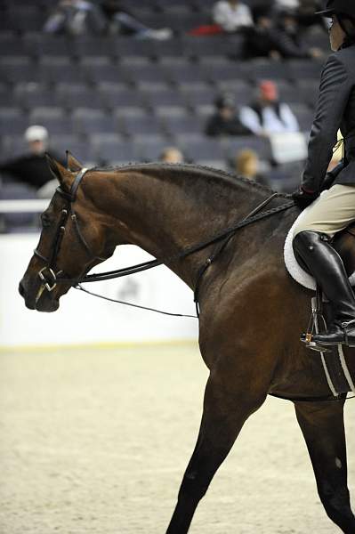 WIHS-10-22-09-DSC_4131-Ovation-VictoriaColvin-SmJrHtr15U-Misc-DDeRosaPhoto.jpg