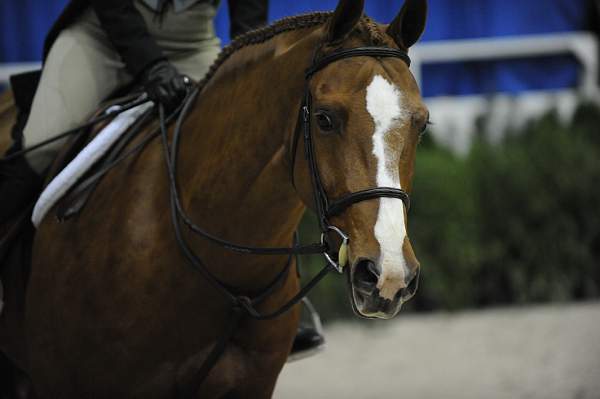 WIHS-10-23-09-DSC_7862-SnapDecision-MariaPaglieri-DDeRosaPhoto.jpg