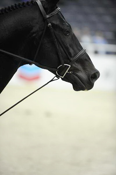 WIHS-10-23-09-DSC_8002-Ramazotti-VictoriaEfird-Miscellaneous-DDeRosaPhoto.jpg