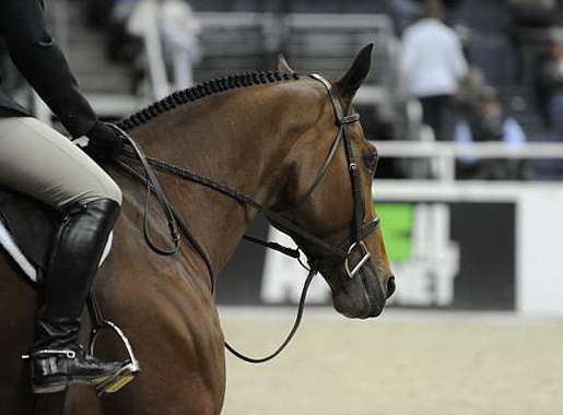 WIHS-10-23-09-DSC_8103-Pharrell-LauraKing-Miscellaneous-DDeRosaPhoto.jpg