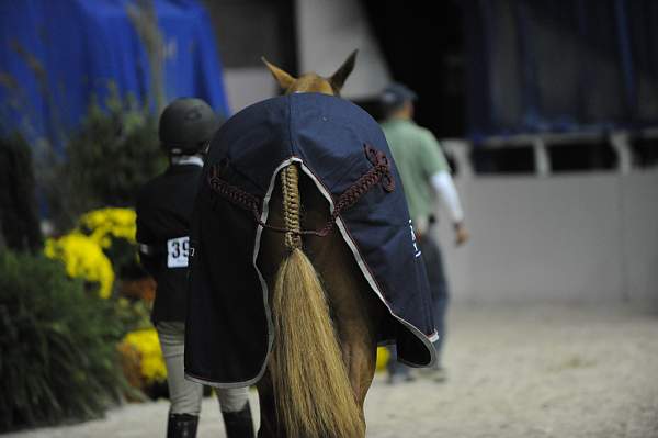 WIHS-10-23-09-DSC_8514-JrHtrGrCh-Confidential-HasbrouckDonovan-Miscellaneous-DDeRosaPhoto.jpg