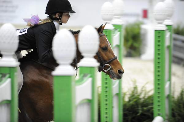 WIHS-10-25-09-MedPnyStke-DSC_2017-Neverland-AllisonToffolon-Misc-DDeRosaPhoto.jpg