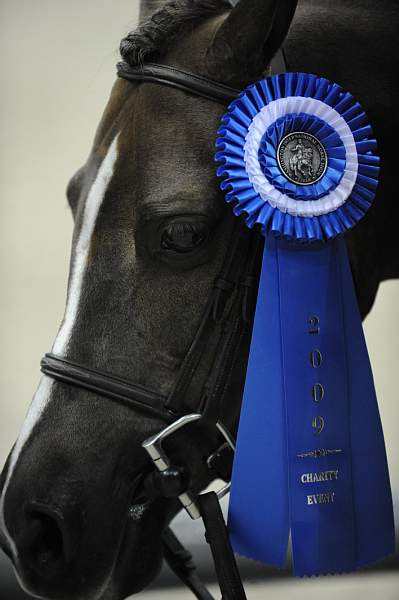 WIHS-10-25-09-SmPnyHtr-DSC_1610-ClovermeadeSomebunny-Misc-DDeRosaPhoto.jpg