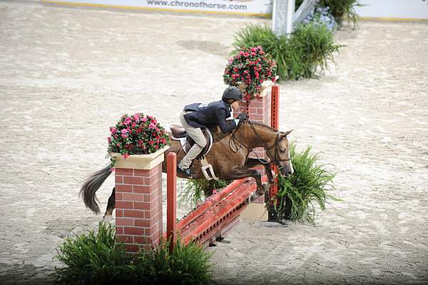 WIHS-10-24-09-Cl112-MdPny-DER_7967-PromiseToo-VictoriaColvin-Ponies-DDeRosaPhoto.jpg