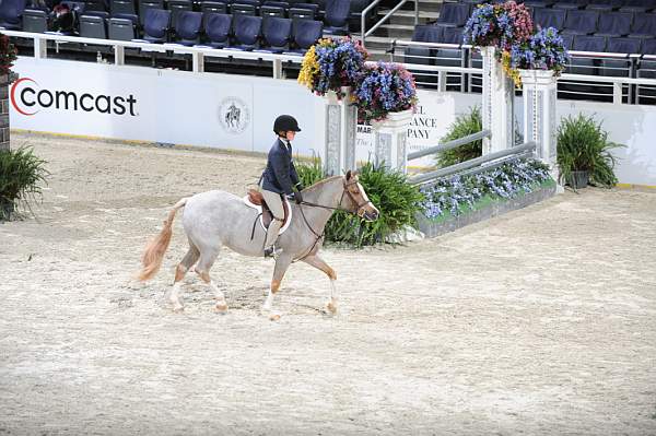 WIHS-10-24-09-Cl112-MdPny-DER_7998-SimplyMagical-AilishCunniffe-Ponies-DDeRosaPhoto.jpg