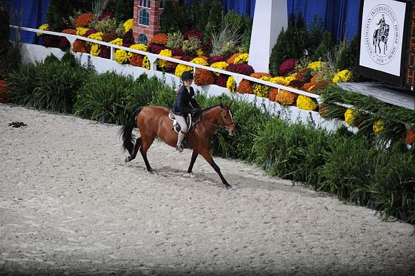WIHS-10-24-09-Cl112-MdPny-DER_8011-Neverland-AllisonToffolon-Ponies-DDeRosaPhoto.jpg