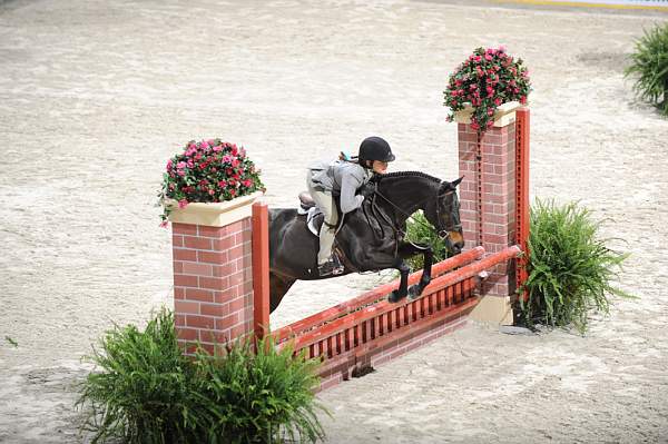 WIHS-10-24-09-Cl112-MdPny-DER_8035-Denmark-SamanthaBatt-Ponies-DDeRosaPhoto.jpg