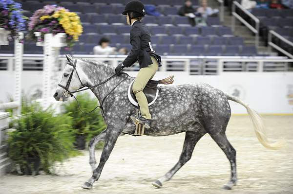 WIHS-10-24-09-Cl185WIHSPnyEqFinals-DER_8244-HighlandsBridgetJones-AveryFinkel-Ponies-DDeRosaPhoto.jpg