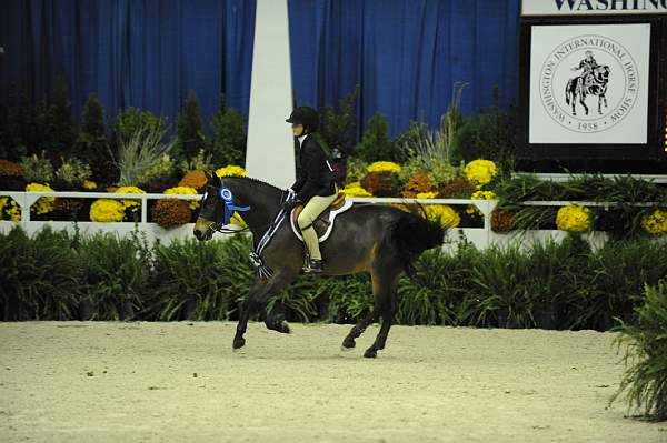 WIHS-10-24-09-Cl185WIHSPnyEqFinals-DER_8351-Tango-MadelynKeck-AllTheBest-VictoriaColvin-Ponies-DDeRosaPhoto.jpg