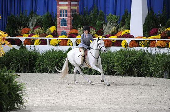 WIHS-10-24-09-DER_7919-Snowbird-SophieMichaels-Ponies-DDeRosaPhoto.jpg