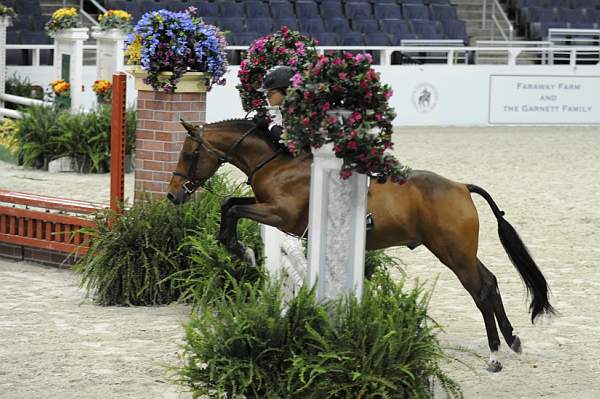 WIHS-10-25-09-DSC_1838-Cleverist-VictoriaColvin-Ponies-DDeRosaPhoto.jpg
