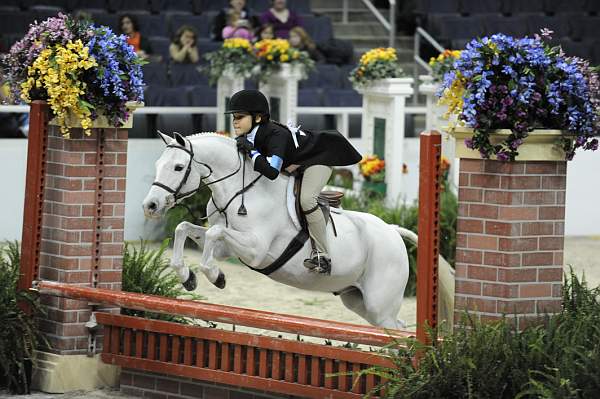 WIHS-10-25-09-DSC_2076-HillcrestKilkenny-VictoriaPress-Ponies-DDeRosaPhoto.jpg