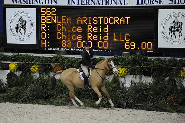 WIHS-10-25-09-DSC_2114-BenleaAristocrat-ChloeReid-Ponies-DDeRosaPhoto.jpg