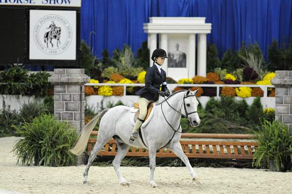 WIHS-10-25-09-LgPnyHtr-DSC_2170-Hallelujah-DanaRizzo-Ponies-DDeRosaPhoto.jpg