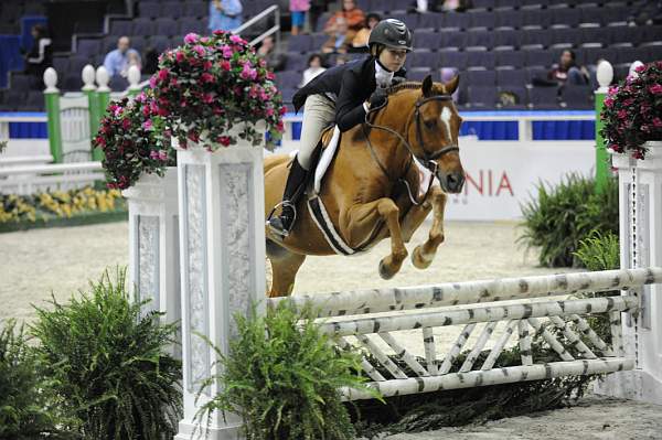 WIHS-10-25-09-LgPnyStke-DSC_2343-LandsEndMadHatter-LucilleOken-Ponies-DDeRosaPhoto.jpg