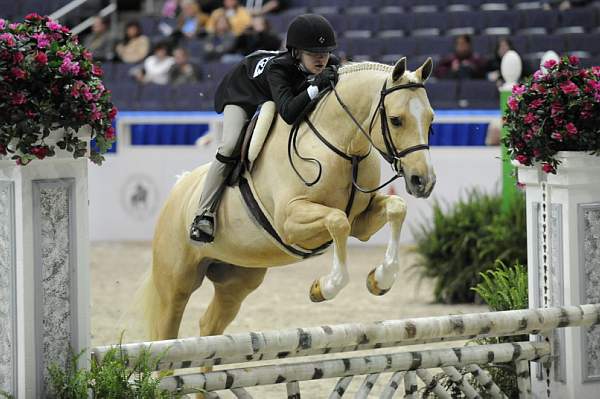 WIHS-10-25-09-LgPnyStke-DSC_2405-Losander'sCamelot-IsabelleCaccamise-Ponies-DDeRosaPhoto.jpg