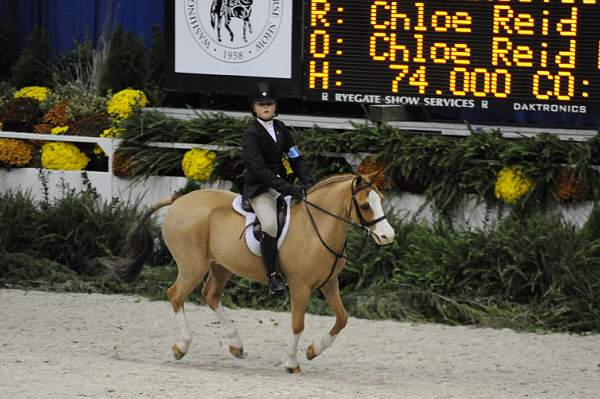 WIHS-10-25-09-MedPny-DSC_1812-BenleaAristocrat-ChloeReid-Ponies-DDeRosaPhoto.jpg