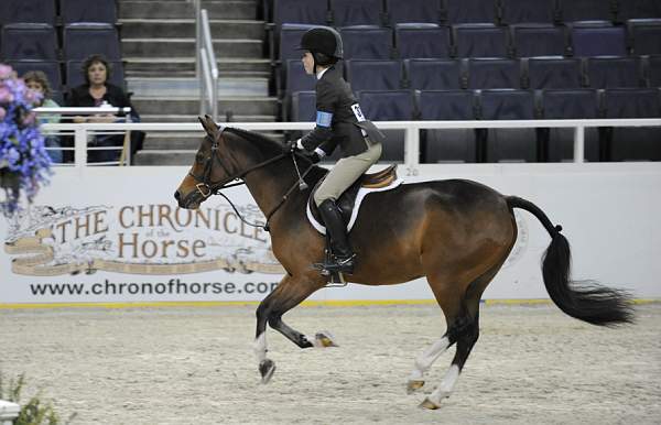 WIHS-10-25-09-MedPny-DSC_1824-PosterBoy-AshleyFoster-Ponies-DDeRosaPhoto.jpg