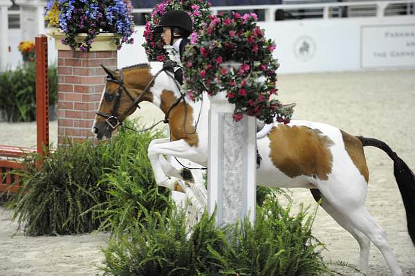 WIHS-10-25-09-MedPny-DSC_1910-SugarCookie-PeytonSmith-Ponies-DDeRosaPhoto.jpg