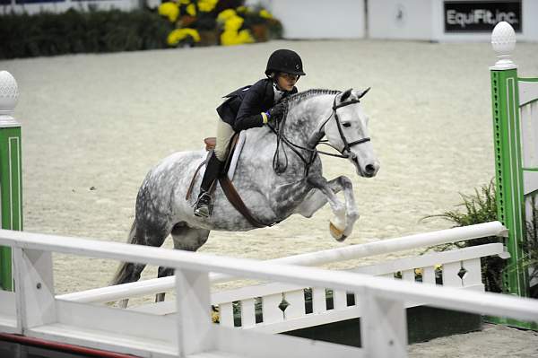 WIHS-10-25-09-MedPny-DSC_1919-Posh-AshleyDelgado-Ponies-DDeRosaPhoto.jpg