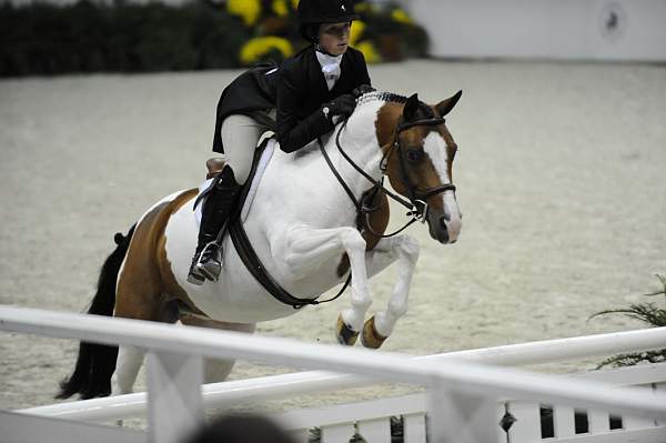 WIHS-10-25-09-MedPnyStke-DSC_2044-SugarCookie-PeytonSmith-Ponies-DDeRosaPhoto.jpg