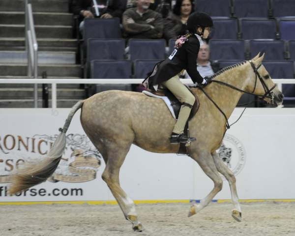 WIHS-10-25-09-MedPnyStke-DSC_2090-Promise-SophieMichaels-Ponies-DDeRosaPhoto.jpg