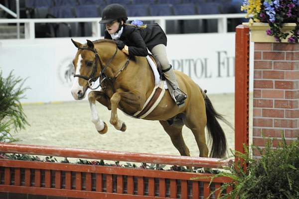 WIHS-10-25-09-SmPnyStke-DSC_1683-FlyerMiles-AshleyHartman-Ponies-DDeRosaPhoto.jpg