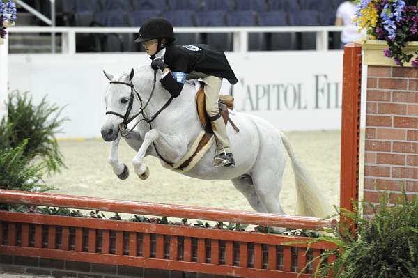 WIHS-10-25-09-SmPnyStke-DSC_1703-Elation-MeredithDarst-Ponies-DDeRosaPhoto.jpg