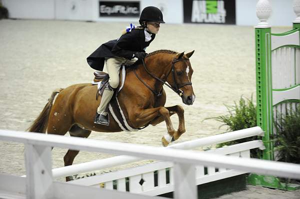 WIHS-10-25-09-SmPnyStke-DSC_1716-HiLite-MadisonManers-Ponies-DDeRosaPhoto.jpg