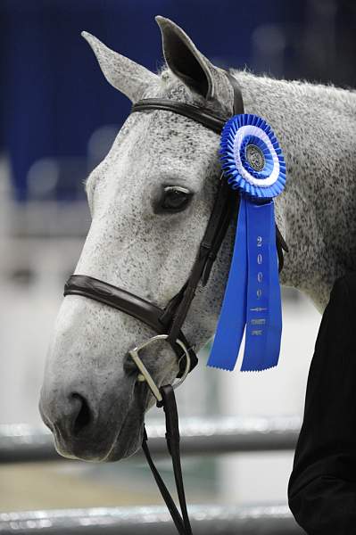 WIHS-10-23-09-SmJrHtr16-17-DSC_7947-Lyle-AbbyOMara-Presentations-DDeRosaPhoto.jpg