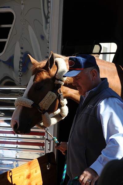 WIHS-10-19-09-347-Setup-DDeRosaPhoto.jpg