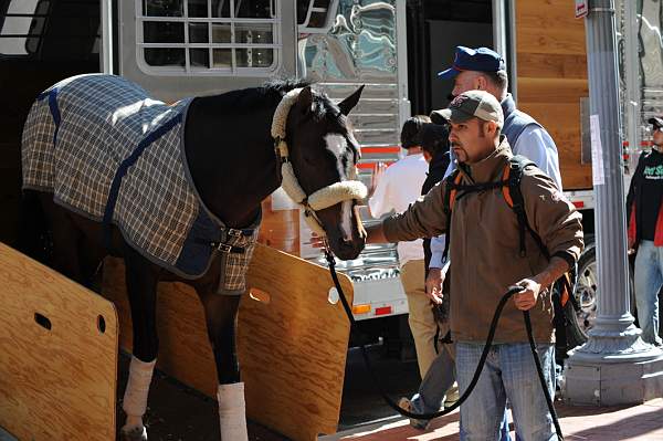 WIHS-10-19-09-369-Setup-DDeRosaPhoto.jpg