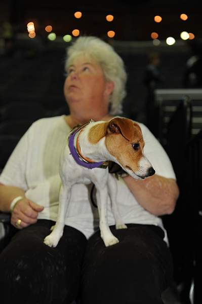 WIHS-10-23-09-DSC_8810-Terriers-DDeRosaPhoto.jpg