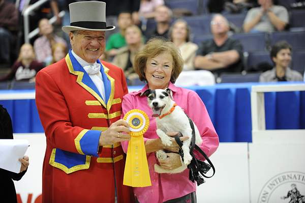 WIHS-10-24-09-DSC_0618-Terriers-JohnFranzreb-DDeRosaPhoto.jpg