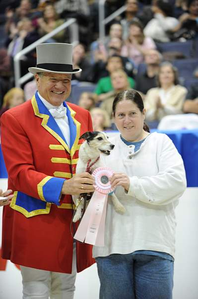 WIHS-10-24-09-DSC_0625-Terriers-JohnFranzreb-DDeRosaPhoto.jpg
