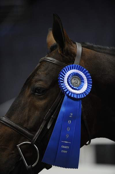 WIHS-10-23-09-DSC_7754-Bishonen-SamanthaSchaefer-Winners-DDeRosaPhoto.jpg