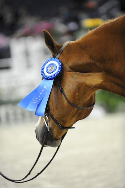 WIHS-10-23-09-DSC_8154-Tiziano-JessicaSpringsteen-Winners-DDeRosaPhoto.jpg