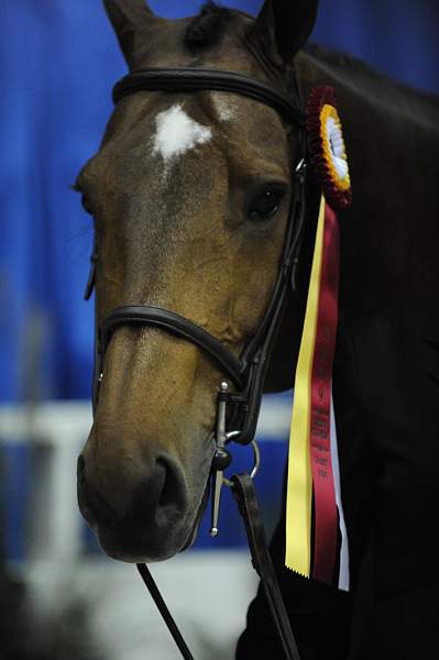 WIHS-10-23-09-DSC_8494-LgJrWkgHtrResCh-Charade-JacquelineLubrano-Winners-DDeRosaPhoto.jpg