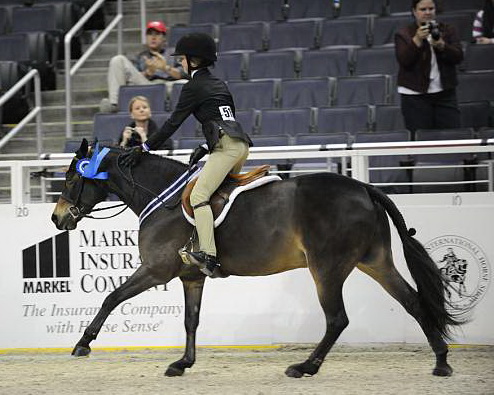 WIHS-10-24-09-DER_8358-Tango-MadelynKeck-Winners-DDeRosaPhoto.jpg