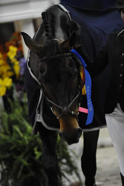 WIHS-10-24-09-DSC_9639-Winners-DDeRosaPhoto.jpg
