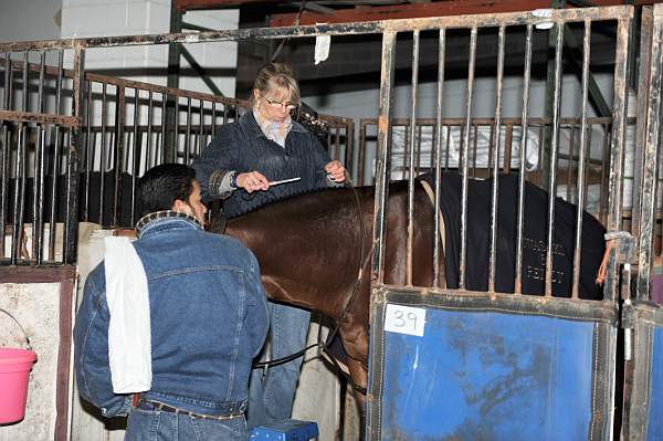 WIHS-10-20-09-DSC_9184-AroundGroundsInside-DDeRosaPhoto.jpg