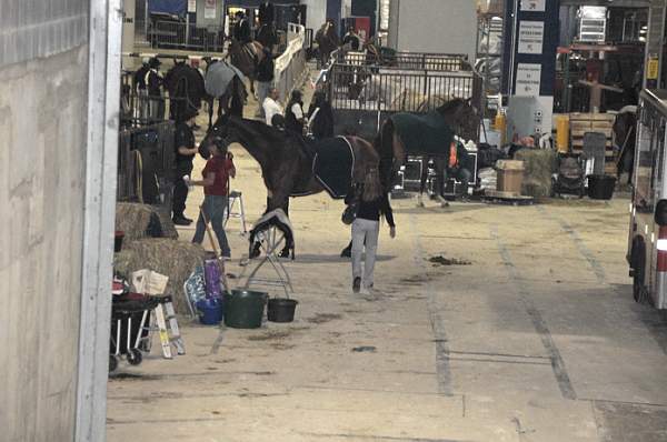 WIHS-10-22-09-DSC_043-AroundGrounds-Inside-DDeRosaPhoto.jpg