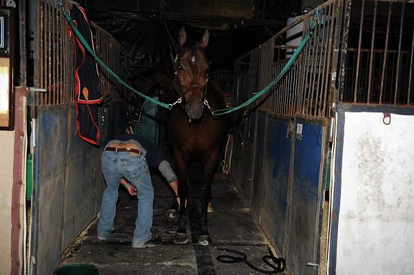 WIHS-10-19-09-338-DDeRosaPhoto.jpg