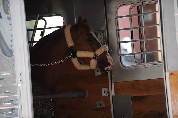 WIHS-10-19-09-339-DDeRosaPhoto.jpg