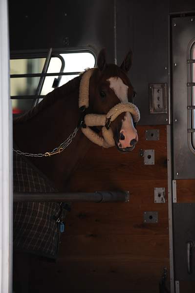 WIHS-10-19-09-340-DDeRosaPhoto.jpg