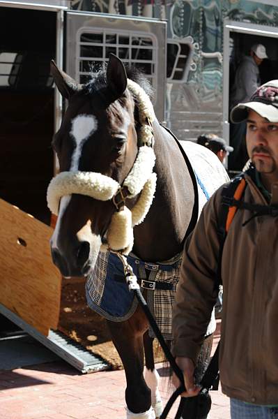 WIHS-10-19-09-371-DDeRosaPhoto.jpg