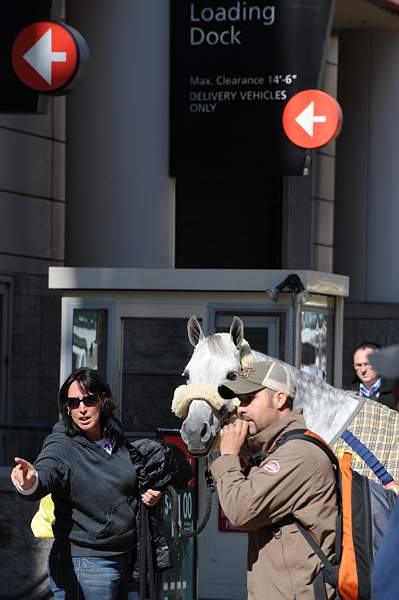 WIHS-10-19-09-400-DDeRosaPhoto.jpg